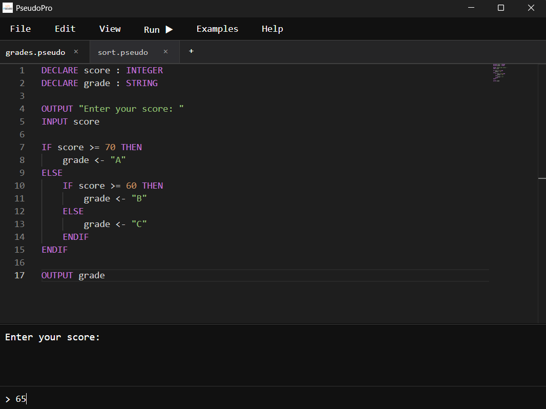 Pseudo Pro IDE screenshot